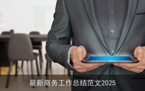 最新商务工作总结范文2025