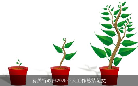 有关行政部2025个人工作总结范文