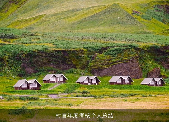 村官年度考核个人总结