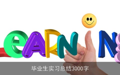 毕业生实习总结3000字