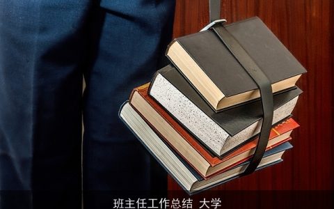 班主任工作总结 大学