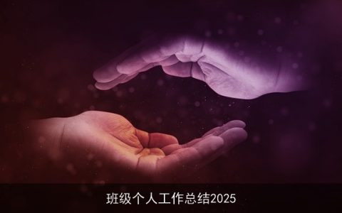 班级个人工作总结2025