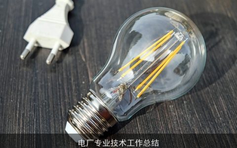 电厂专业技术工作总结