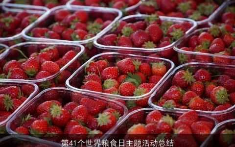 第41个世界粮食日主题活动总结