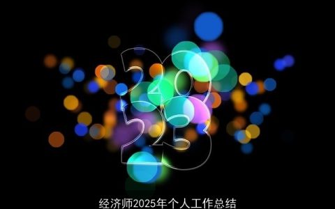 经济师2025年个人工作总结