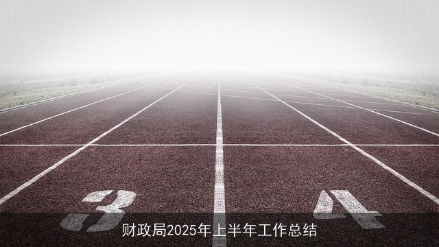 财政局2025年上半年工作总结