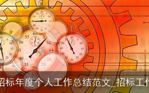 采购招标年度个人工作总结范文_招标工作总结