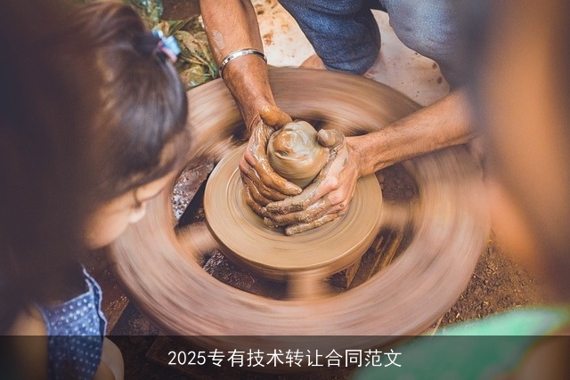 2025专有技术转让合同范文