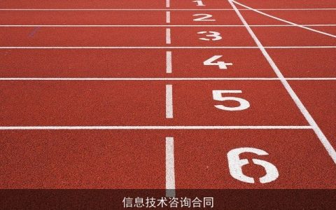 信息技术咨询合同