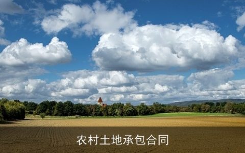 农村土地承包合同