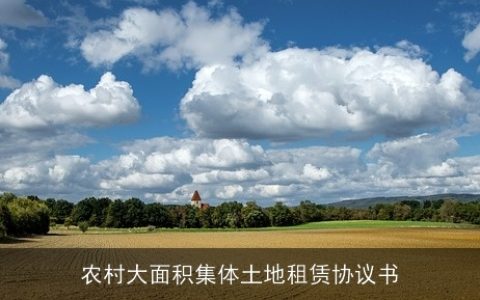 农村大面积集体土地租赁协议书