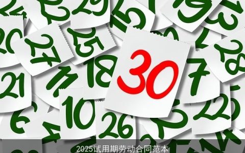 2025试用期劳动合同范本