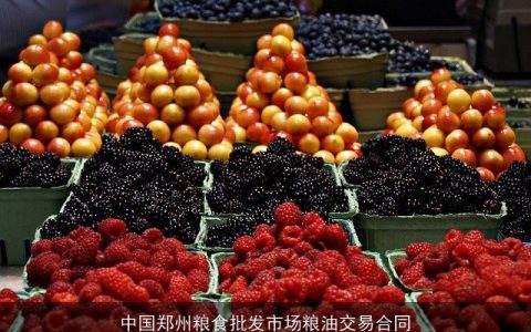 中国郑州粮食批发市场粮油交易合同