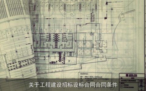 关于工程建设招标设标合同合同条件