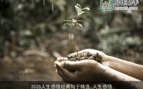 2025人生感悟经典句子精选_人生感悟