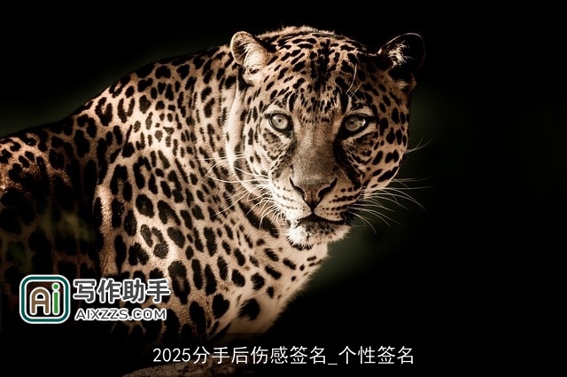 2025分手后伤感签名_个性签名