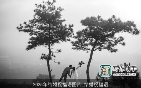 2025年结婚祝福语图片_结婚祝福语