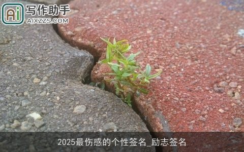 2025最伤感的个性签名_励志签名