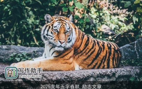 2025虎年五字春联_励志文章