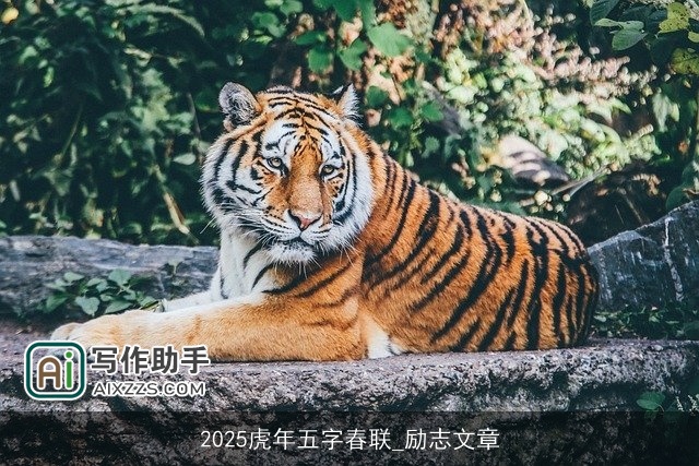 2025虎年五字春联_励志文章