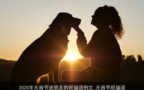 2025年元宵节送朋友的祝福语例文_元宵节祝福语