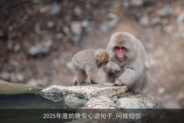 2025年度的晚安心语句子_问候短信