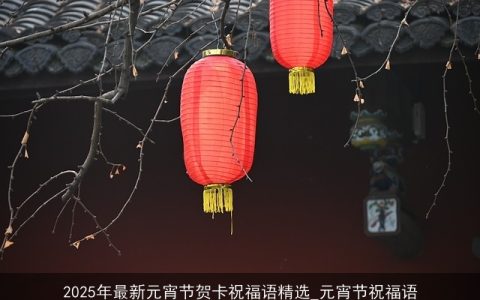 2025年最新元宵节贺卡祝福语精选_元宵节祝福语