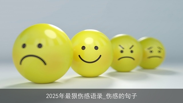 2025年最狠伤感语录_伤感的句子