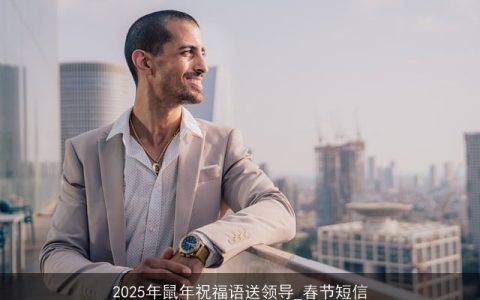 2025年鼠年祝福语送领导_春节短信