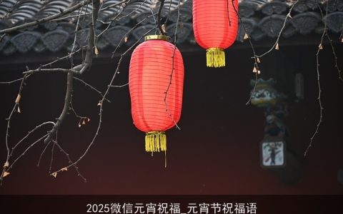 2025微信元宵祝福_元宵节祝福语