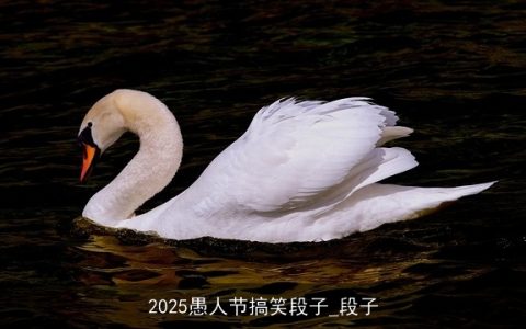 2025愚人节搞笑段子_段子