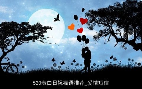 520表白日祝福语推荐_爱情短信