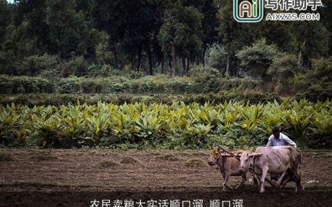 农民卖粮大实话顺口溜_顺口溜