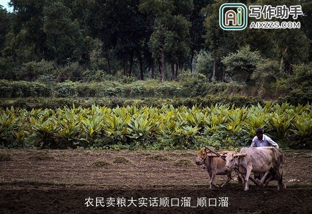 农民卖粮大实话顺口溜_顺口溜