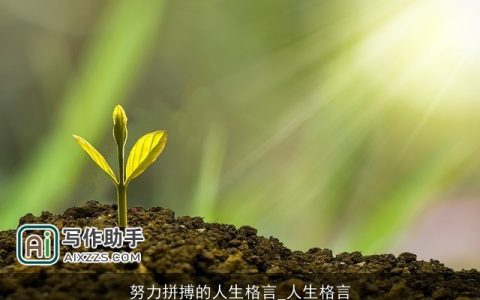 努力拼搏的人生格言_人生格言