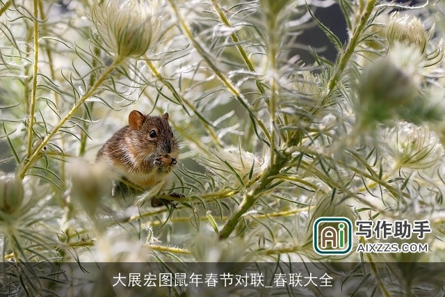 大展宏图鼠年春节对联_春联大全