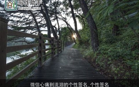 微信心痛到流泪的个性签名_个性签名