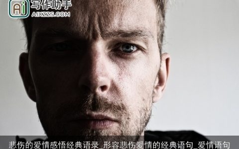 悲伤的爱情感悟经典语录_形容悲伤爱情的经典语句_爱情语句