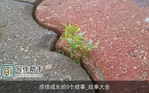 感悟成长的3个故事_故事大全