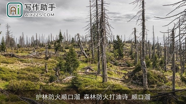 护林防火顺口溜_森林防火打油诗_顺口溜