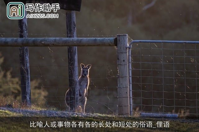 比喻人或事物各有各的长处和短处的俗语_俚语