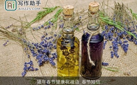 猪年春节健康祝福语_春节短信