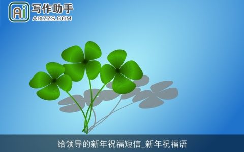 给领导的新年祝福短信_新年祝福语