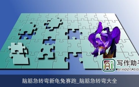 脑筋急转弯新龟兔赛跑_脑筋急转弯大全