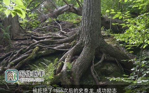 被拒绝了1855次后的史泰龙_成功励志