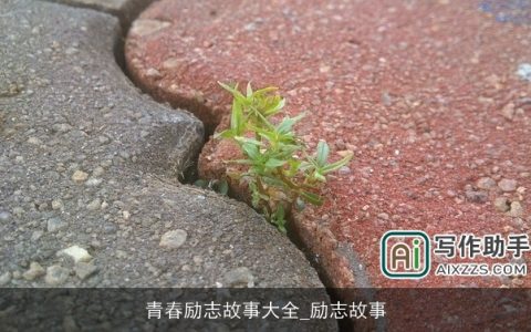 青春励志故事大全_励志故事