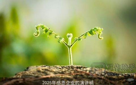 2025年感恩企业的演讲稿