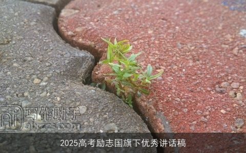 2025高考励志国旗下优秀讲话稿