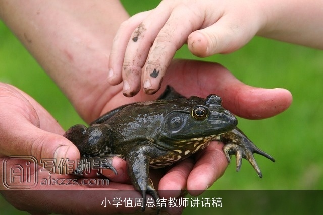 小学值周总结教师讲话稿