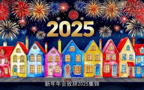 新年年会致辞2025集锦